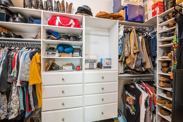 view of spacious closet