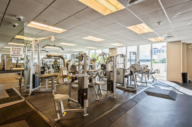 exercise room featuring expansive windows, a drop ceiling, and a wealth of natural light