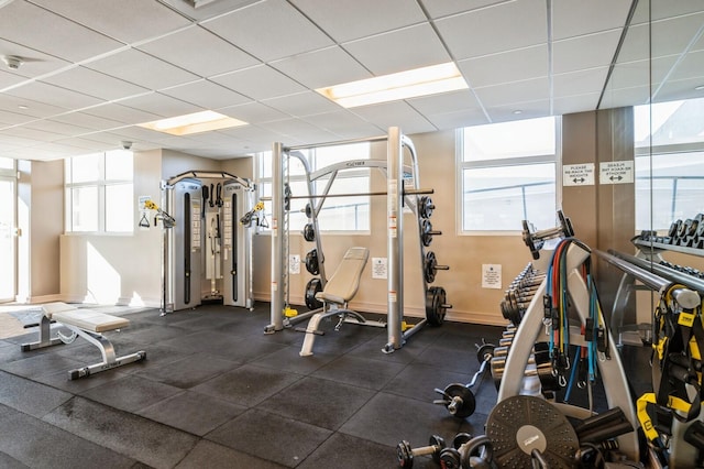 workout area featuring a wealth of natural light and a drop ceiling