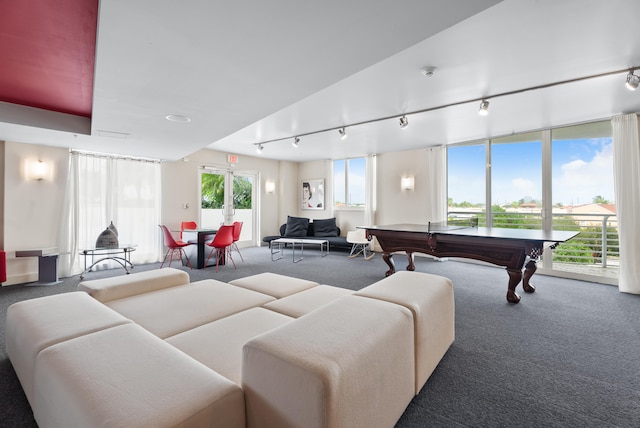 carpeted living room featuring plenty of natural light and pool table