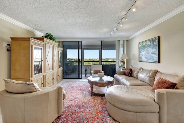 living room with ornamental molding and a textured ceiling