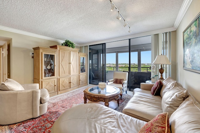 living room featuring crown molding and a textured ceiling