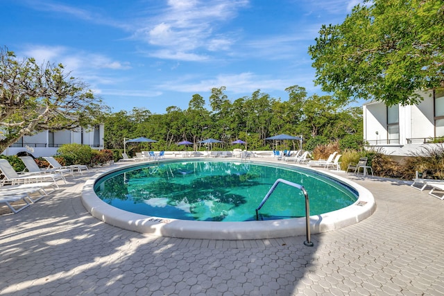 view of swimming pool featuring a patio area