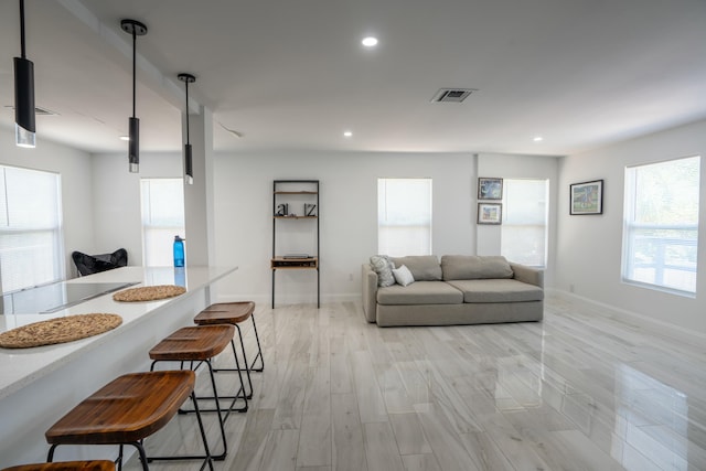 living room featuring light hardwood / wood-style floors