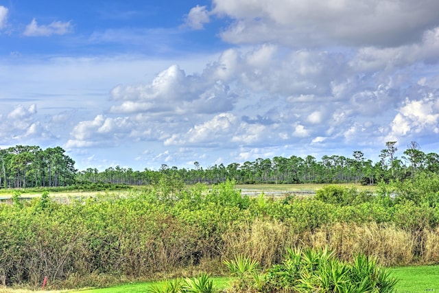 view of nature with a rural view