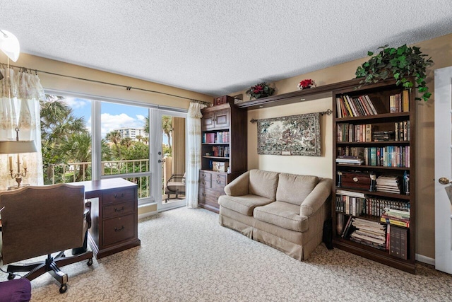 office with light colored carpet and a textured ceiling