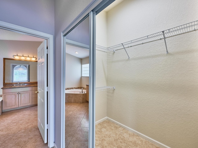 closet featuring sink