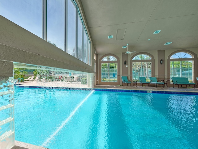 view of pool featuring a patio and ceiling fan