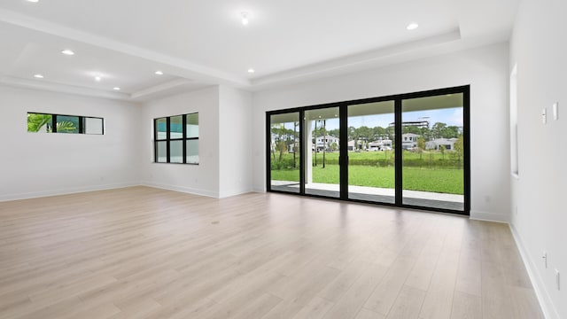 spare room with a tray ceiling and light hardwood / wood-style floors