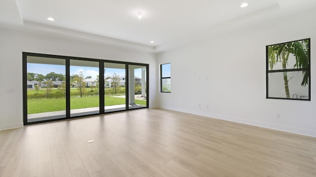 spare room with light hardwood / wood-style floors and a raised ceiling