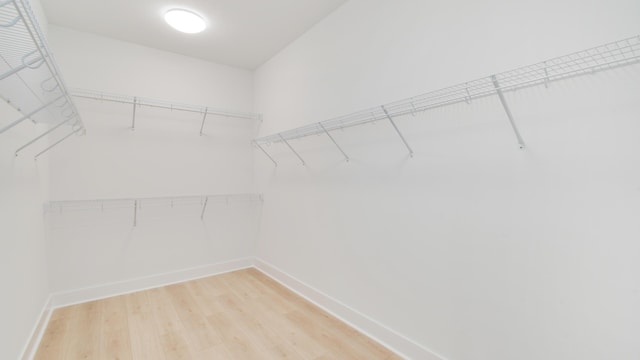 spacious closet featuring hardwood / wood-style floors