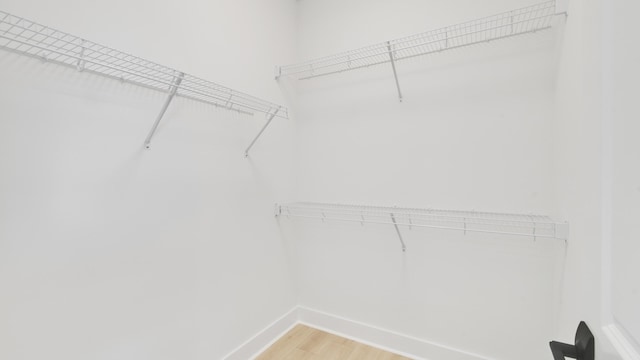 spacious closet with hardwood / wood-style floors