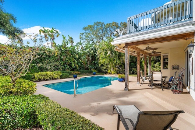 view of pool featuring a patio and ceiling fan