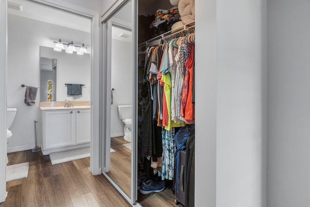 closet featuring sink