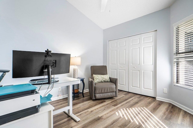 office with lofted ceiling and hardwood / wood-style floors