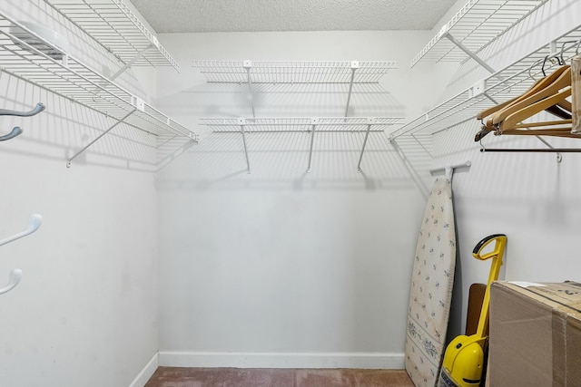 spacious closet featuring carpet