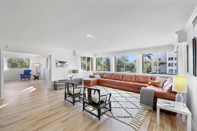 living room featuring crown molding, light hardwood / wood-style flooring, and a healthy amount of sunlight