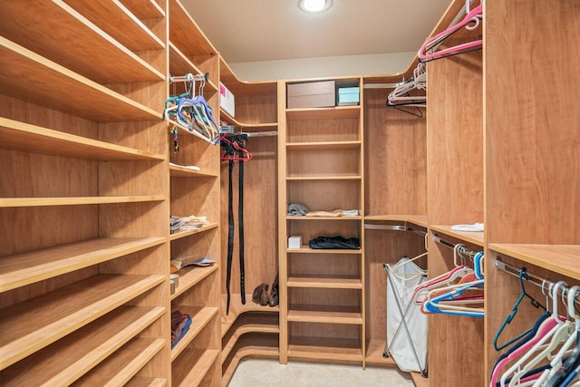 view of walk in closet