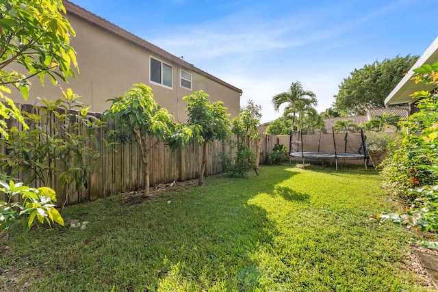 view of yard with a trampoline