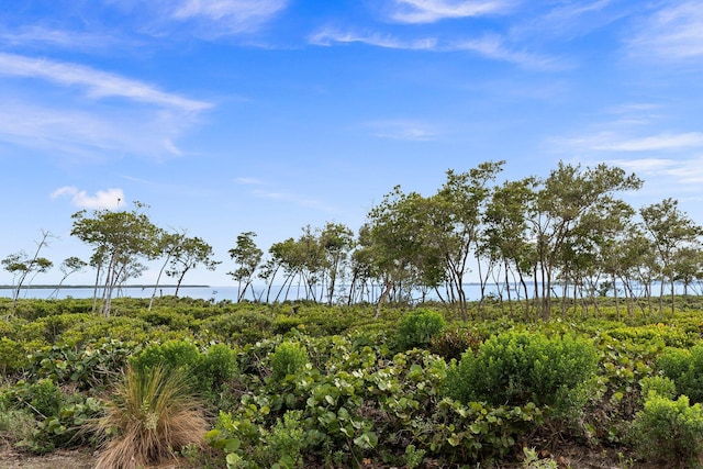 view of nature featuring a rural view