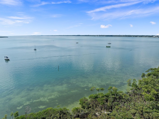 property view of water