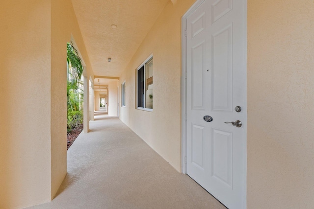 corridor featuring light colored carpet