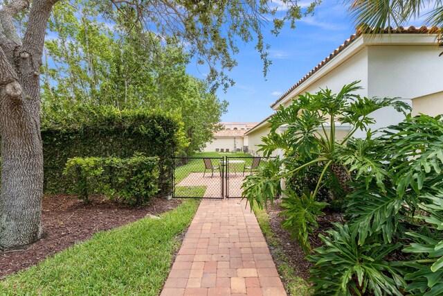 view of yard featuring a patio