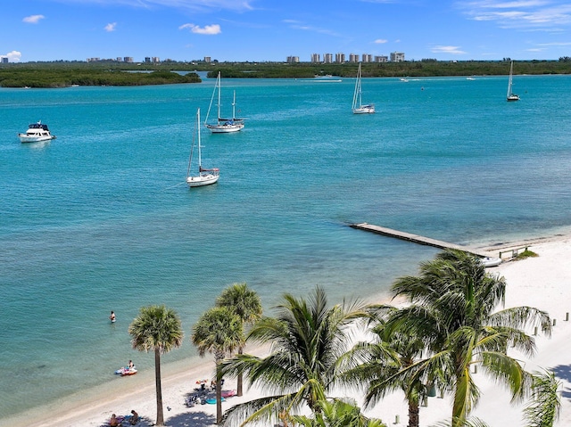 property view of water with a beach view