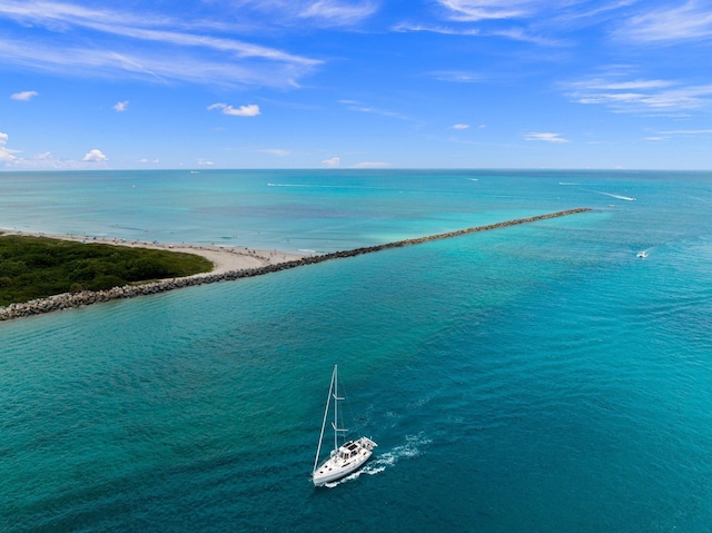water view featuring a beach view