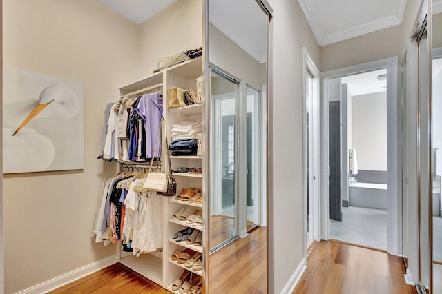 walk in closet with hardwood / wood-style floors