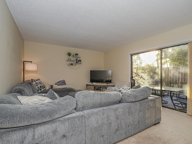 living room featuring a textured ceiling and carpet flooring