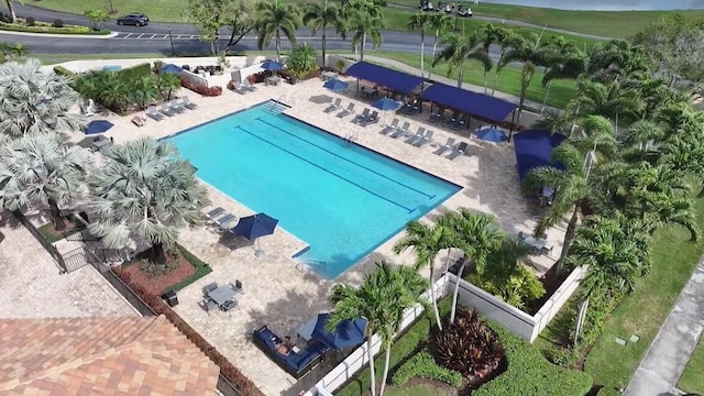 view of pool featuring a patio