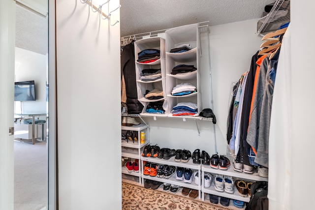 view of walk in closet