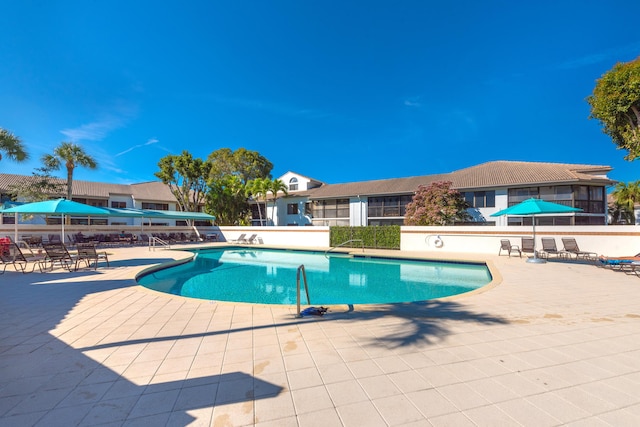 view of swimming pool featuring a patio area