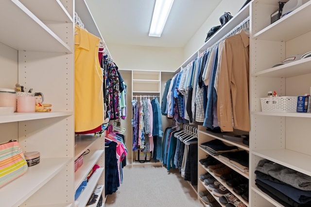 walk in closet with light carpet