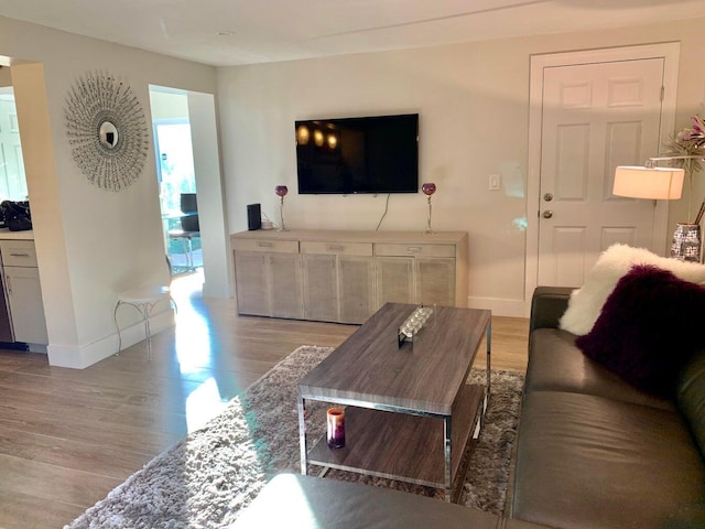 living room with light hardwood / wood-style flooring