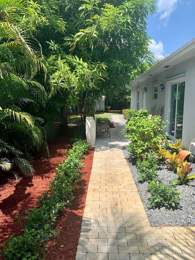 view of yard with a patio