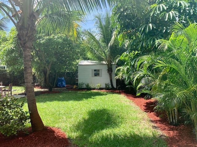 view of yard with a storage shed