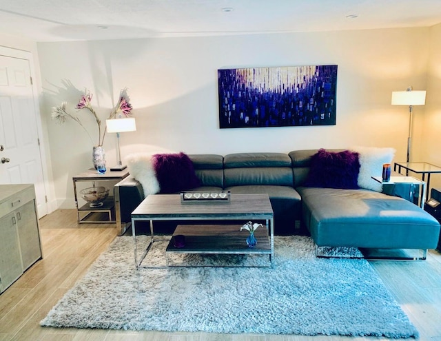 living room with light hardwood / wood-style floors