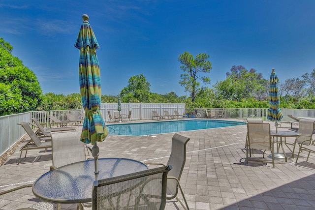 view of swimming pool with a patio