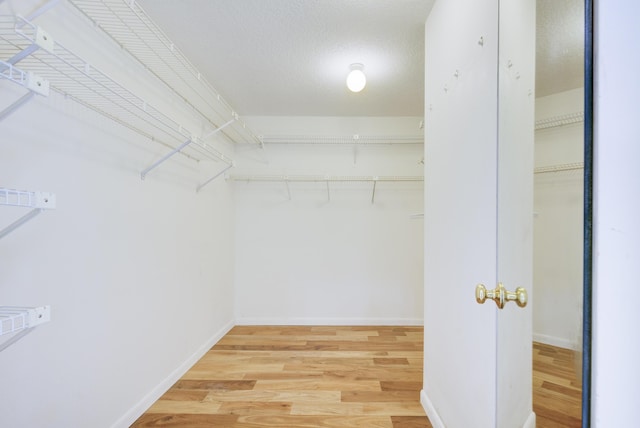 walk in closet featuring wood-type flooring