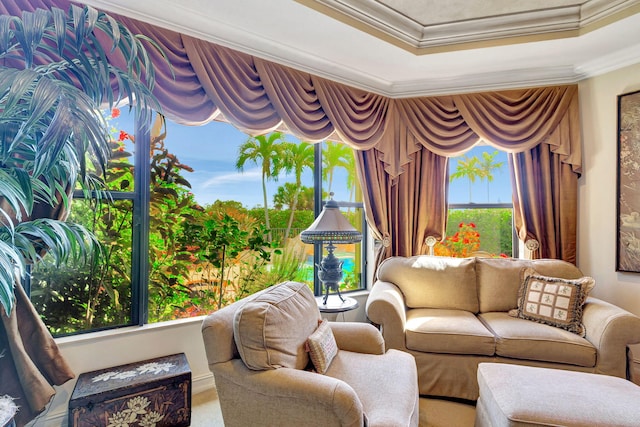 interior space with crown molding and a tray ceiling