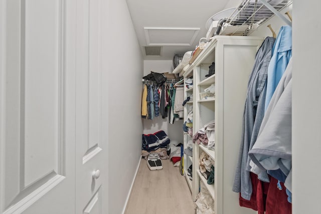 walk in closet featuring light wood-type flooring