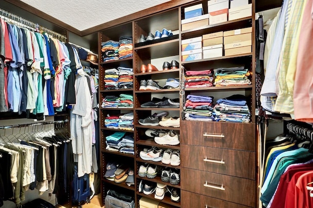 view of walk in closet