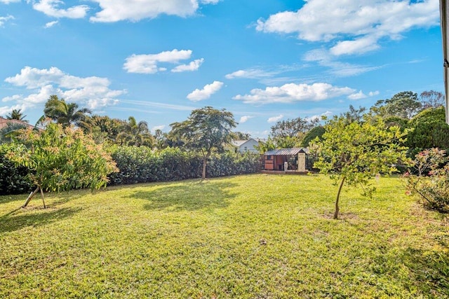 view of yard with a storage shed