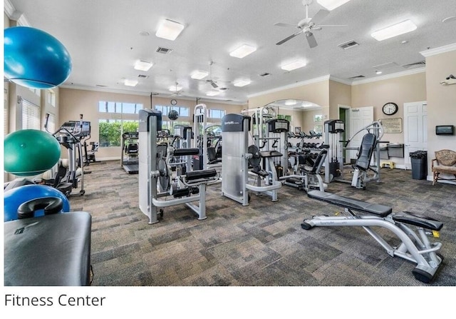 workout area featuring crown molding, ceiling fan, carpet flooring, and a textured ceiling