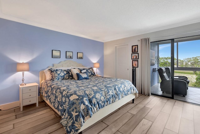 bedroom with multiple windows, access to outside, a closet, and light hardwood / wood-style flooring