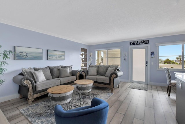 living room with a textured ceiling and light wood-type flooring