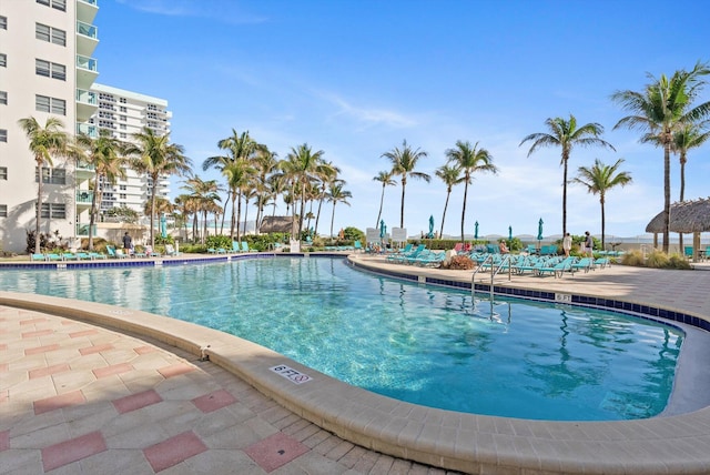 view of pool featuring a patio