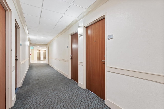 hallway featuring ornamental molding, dark carpet, and a drop ceiling